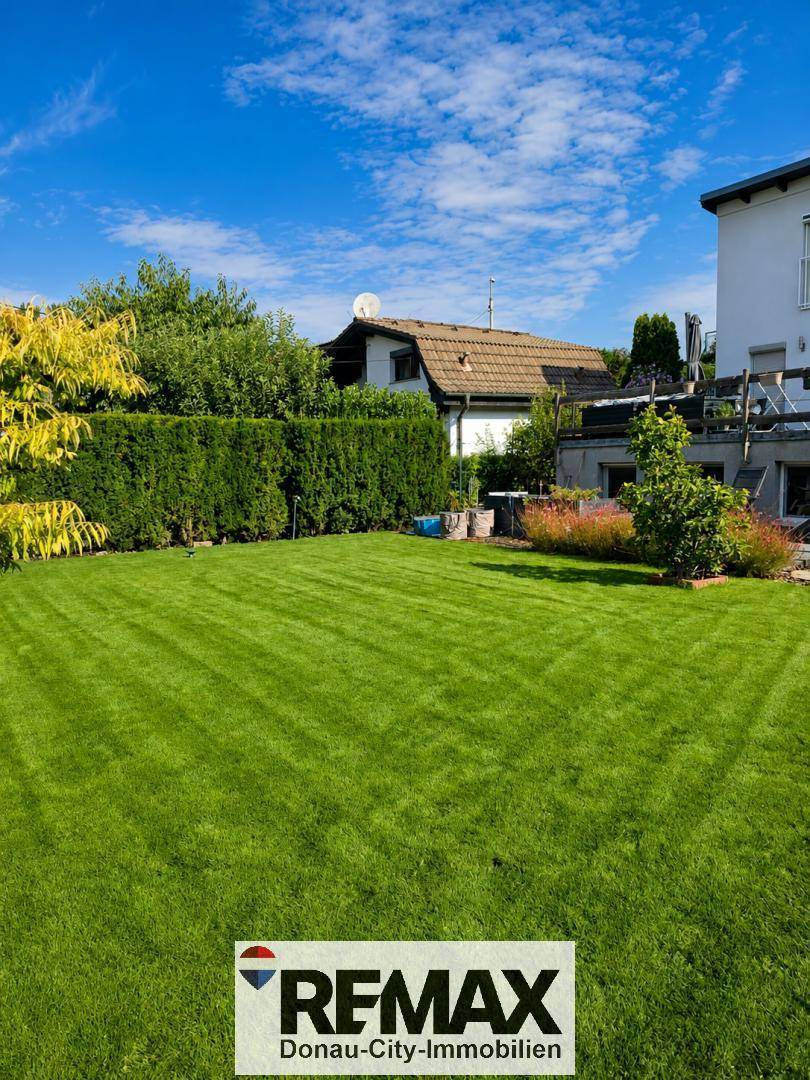 Gepflegter, weitläufiger Rasenbereich im Garten, umgeben von hohen Hecken und Bäumen.