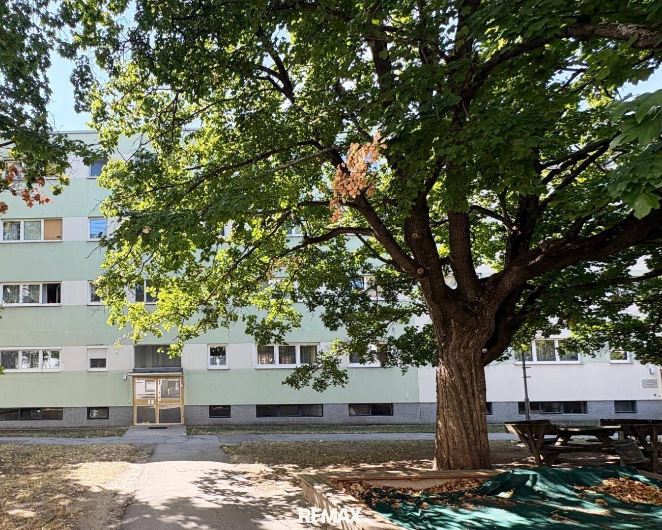 Außenansicht eines Mehrfamilienhauses mit grüner Fassade und altem Baumbestand im Vordergrund.
