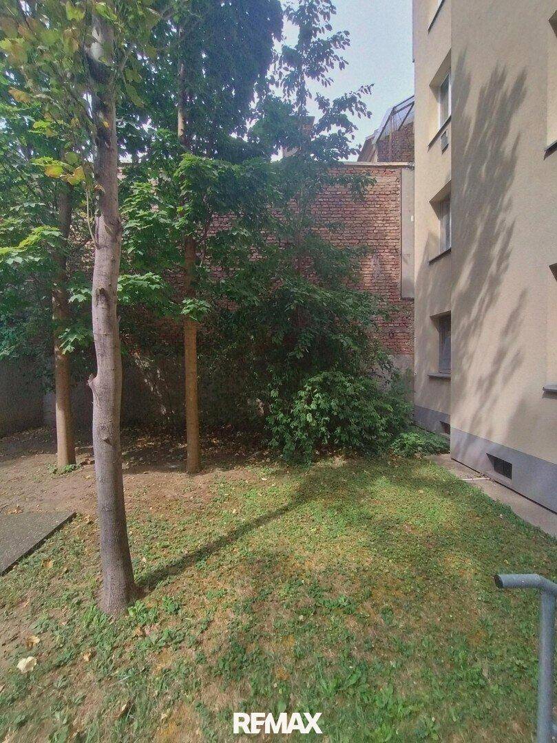 Kleiner Gartenbereich mit Bäumen und Rasenfläche, umgeben von Gebäuden.