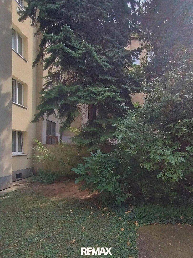 Grüner Gartenbereich mit hohen Bäumen und Sträuchern neben einem Gebäude.