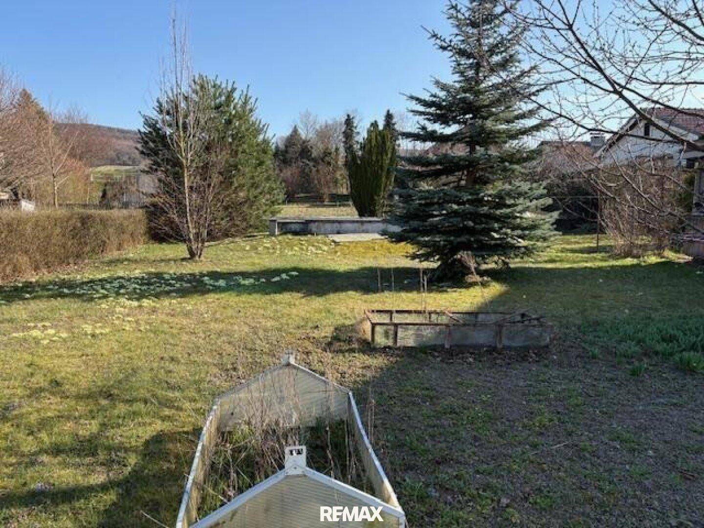 Großer Garten mit Nadelbäumen, Rasenfläche und einem kleinen Gewächshaus.