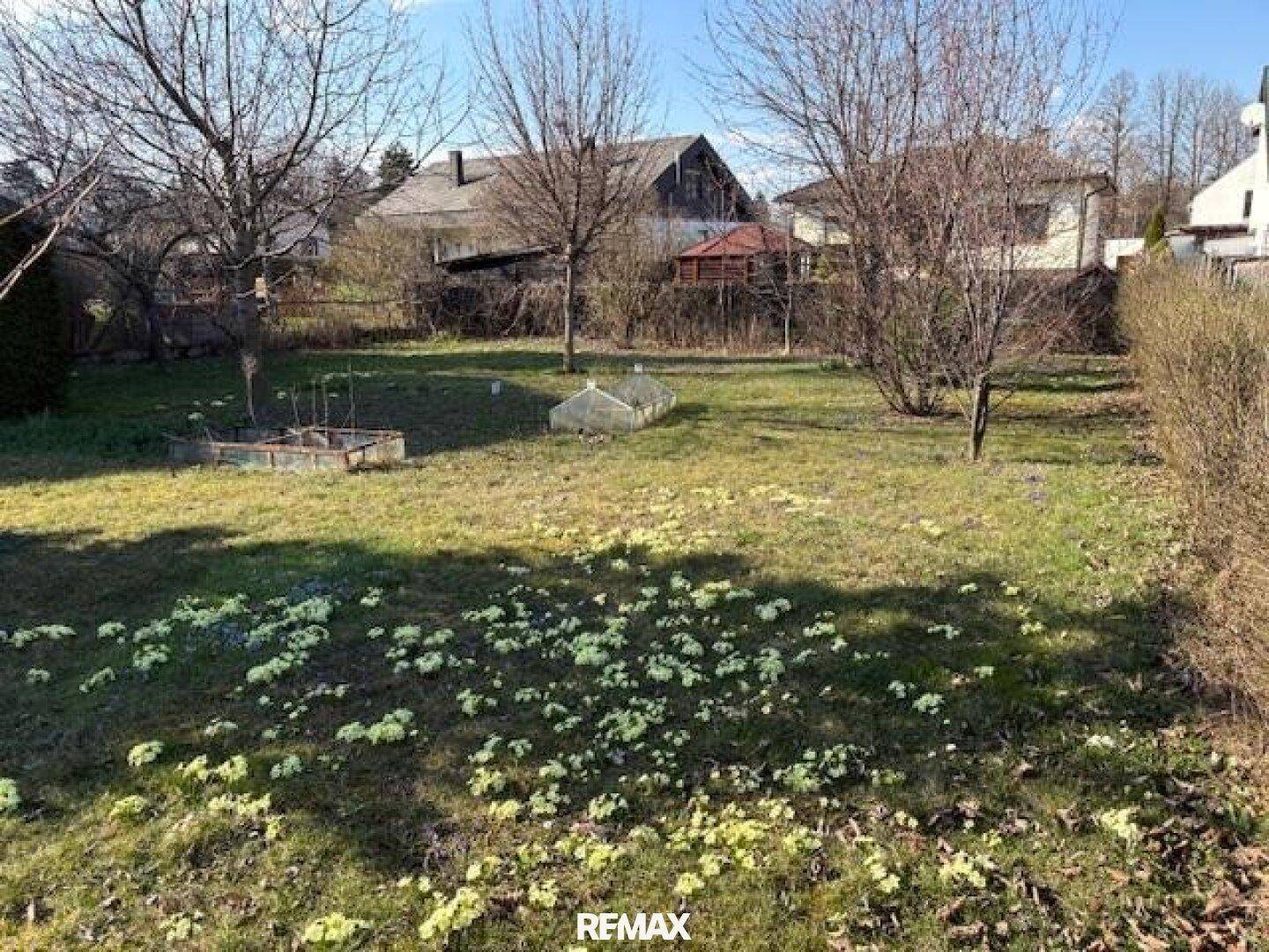 Weitläufiger Garten mit blühenden Blumen und Bäumen unter blauem Himmel.