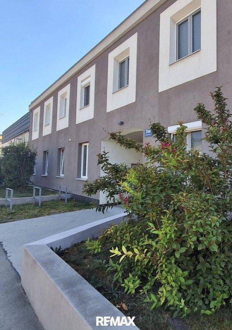 Moderne Fassade eines Wohngebäudes mit zahlreichen Fenstern und gepflegten Sträuchern im Vordergrund.