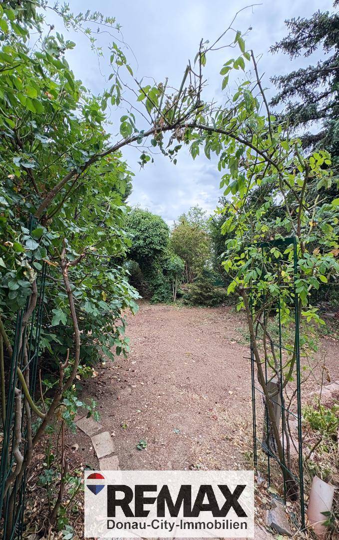 Naturbelassener Gartenbereich mit Rosenbogen und viel Grün, bereit zur Gestaltung.