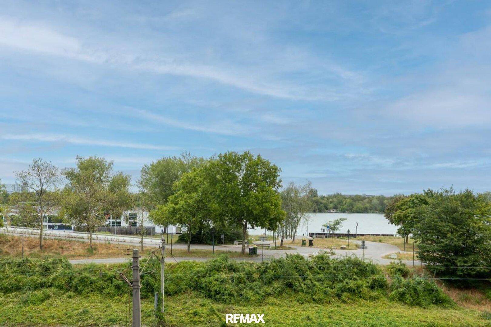 Weitläufiger Blick auf grüne Landschaft, Bäume und einen See unter bewölktem Himmel.