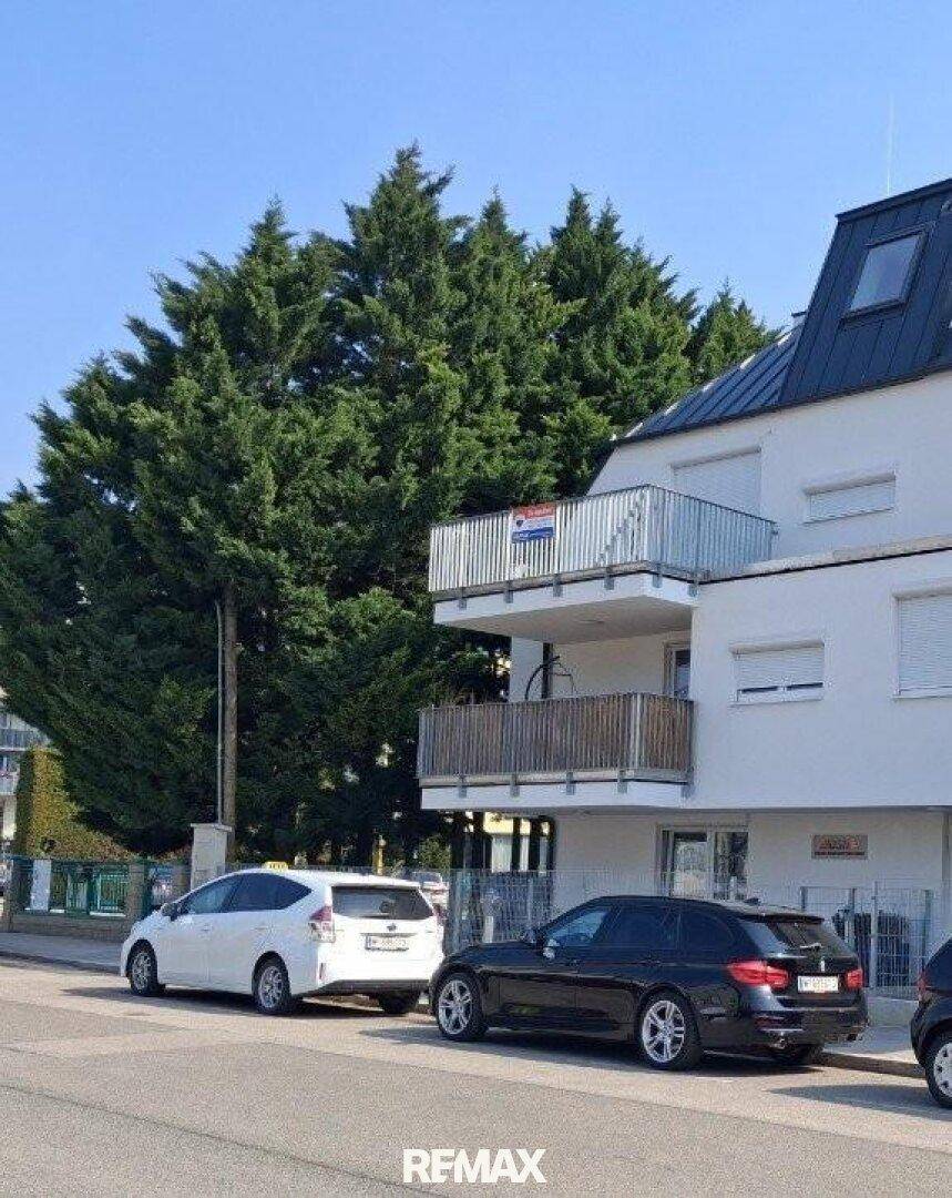 Moderne Wohnhausfassade mit Balkonen und großen Bäumen im Vordergrund.
