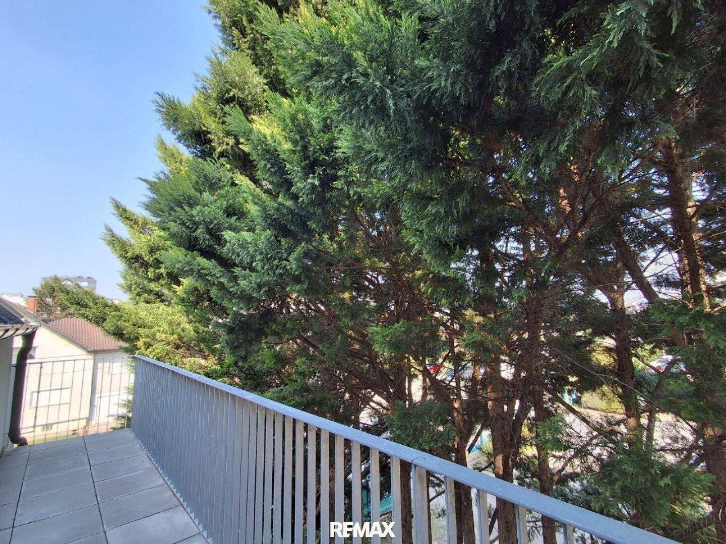 Balkon mit üppigem Grünblick und hohen Bäumen, die Privatsphäre bieten.