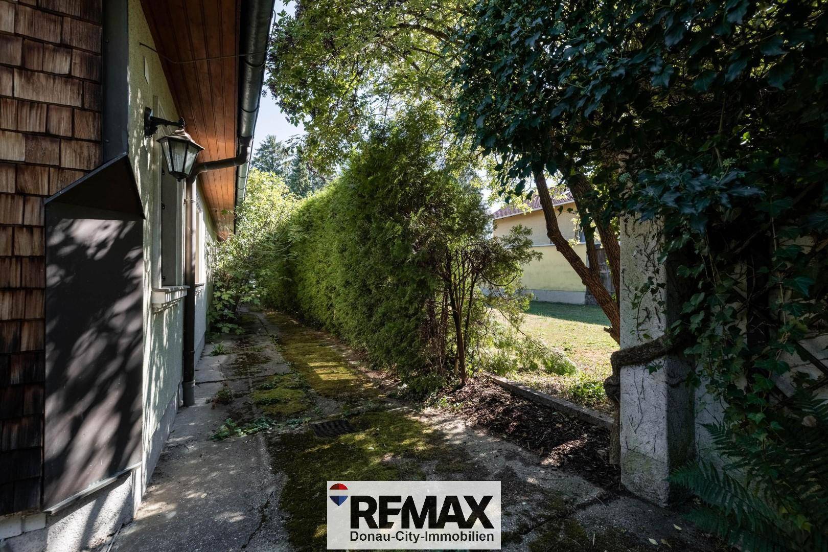 Zufahrt zum Grundstück mit alter Pflasterung und hoher Hecke.