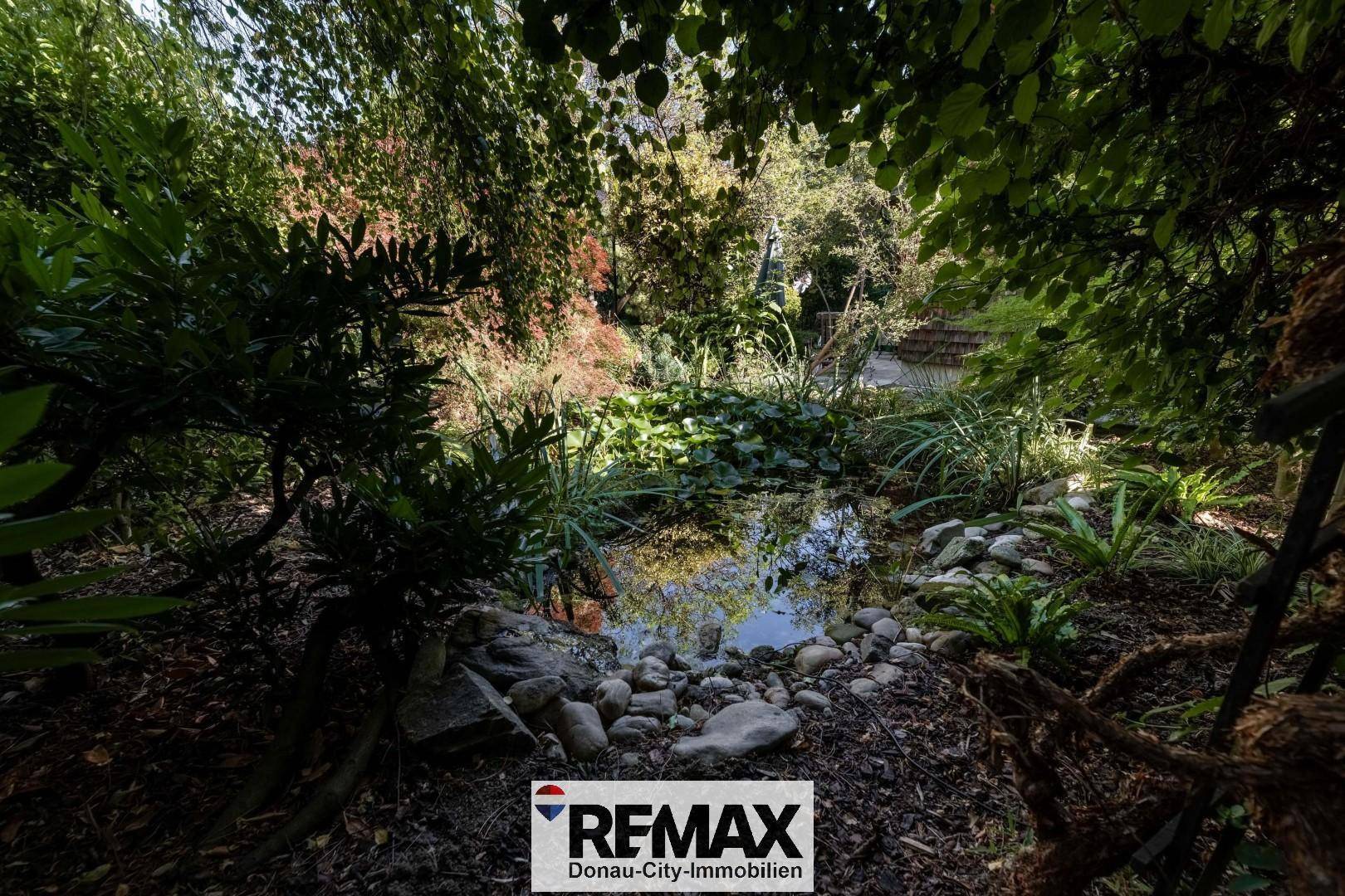 Natürlicher Gartenteich mit Seerosen und Steinen, umgeben von üppiger Vegetation.