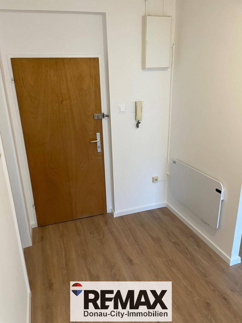Eingangsbereich mit hellem Laminatboden, weiß gestrichenen Wänden und einer Holztür.
