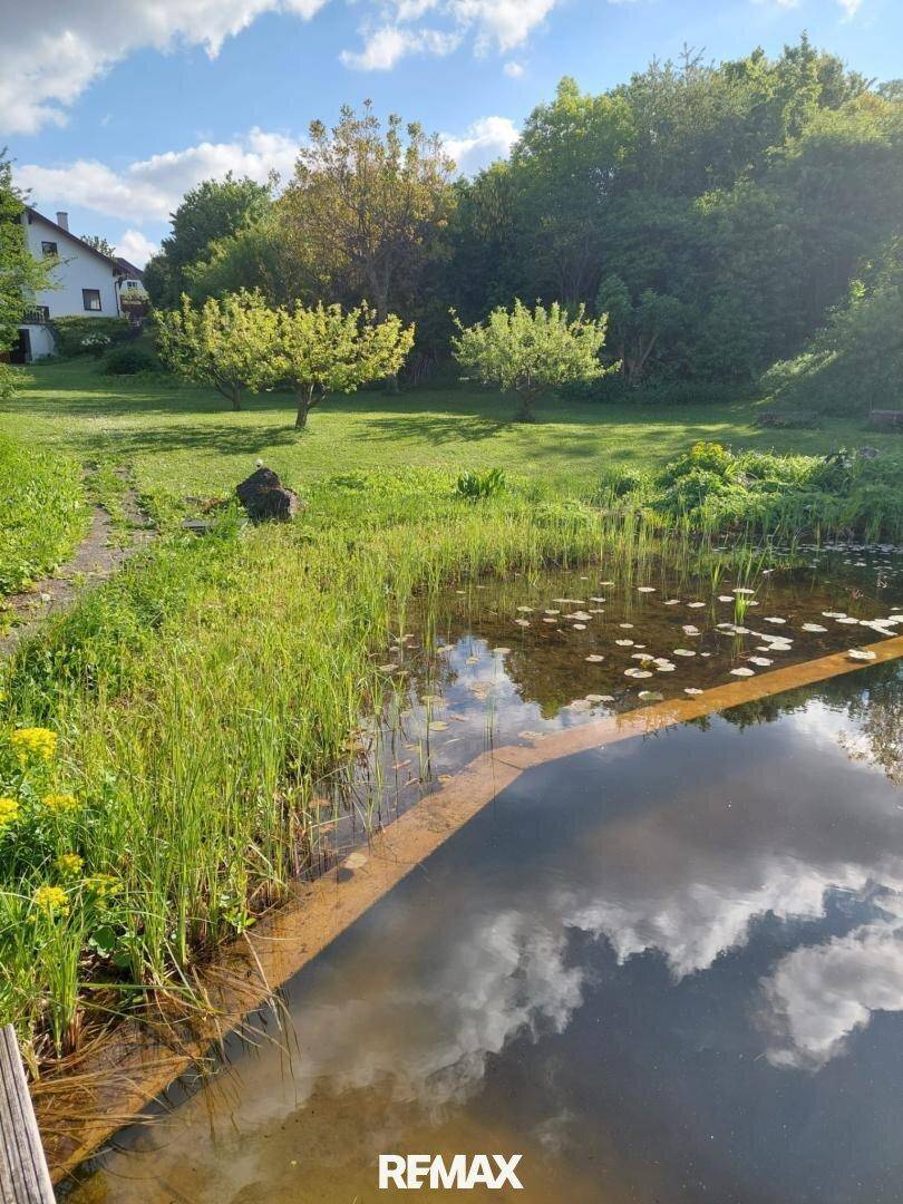 Ruhiger Teich mit Wolkenspiegelungen, umgeben von einer grünen Landschaft und dem Haus im Hintergrund.