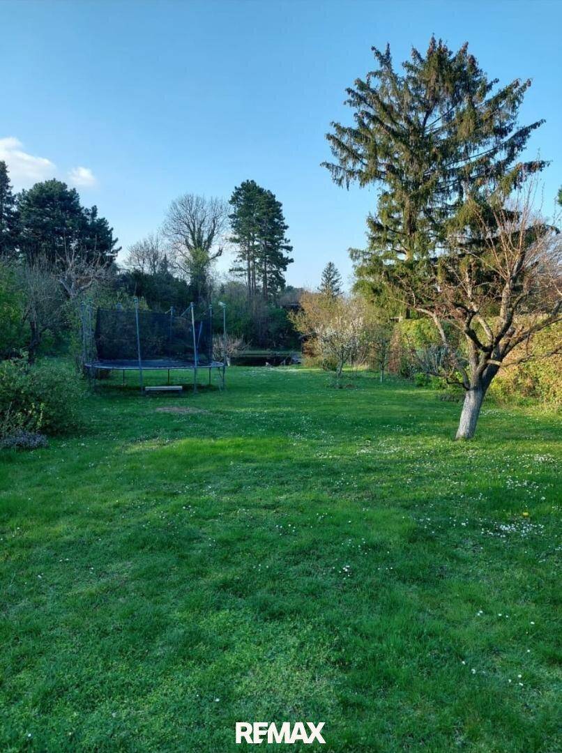 Große Rasenfläche im Garten mit einem Trampolin, umgeben von hohen Bäumen unter blauem Himmel.