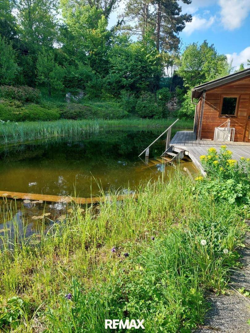Natürlicher Teich mit Holzsteg und Treppe ins Wasser, umgeben von üppigem Grün und hohen Bäumen.