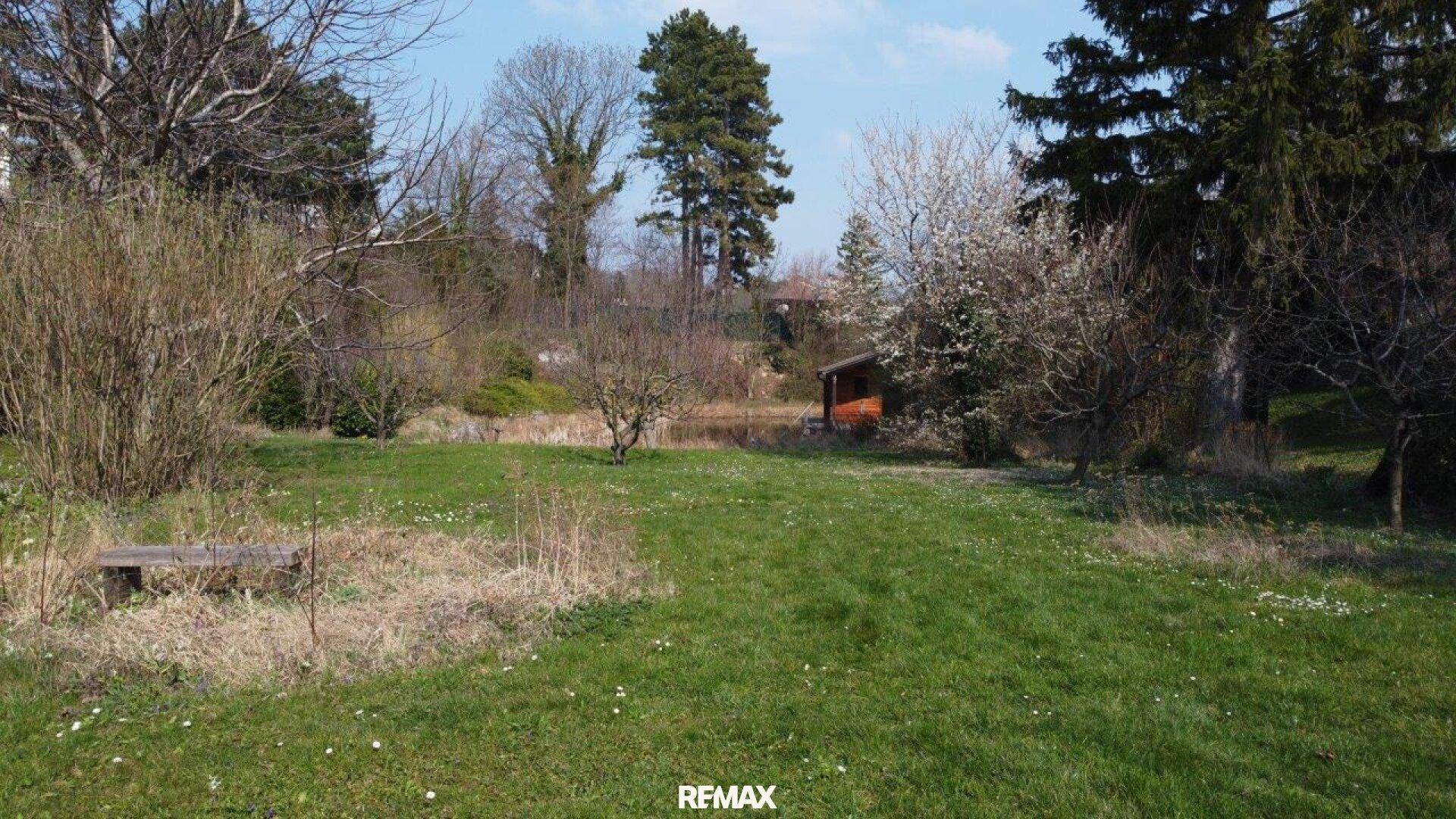 Weitläufige Rasenfläche im Garten mit einer Holzbank, umgeben von Bäumen und einem Teich im Hintergrund.
