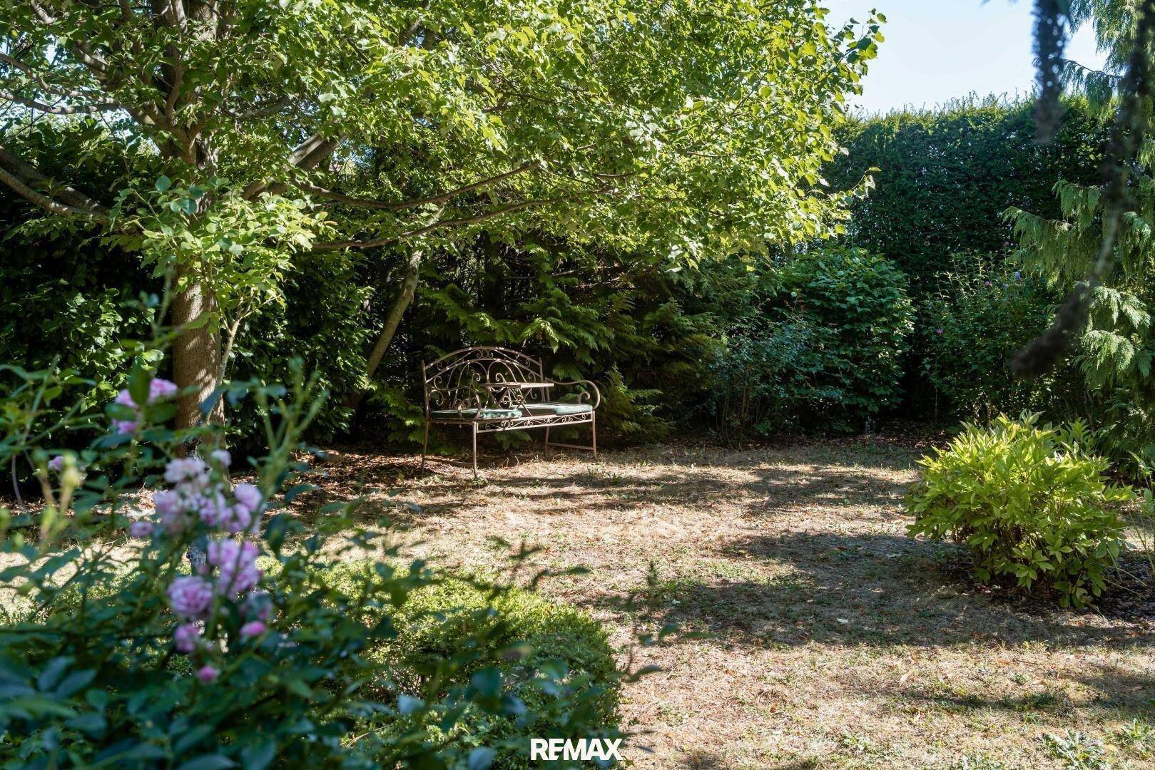 Idyllischer Gartenbereich mit Rasenfläche, alter Gartenbank und umgebenden Hecken.