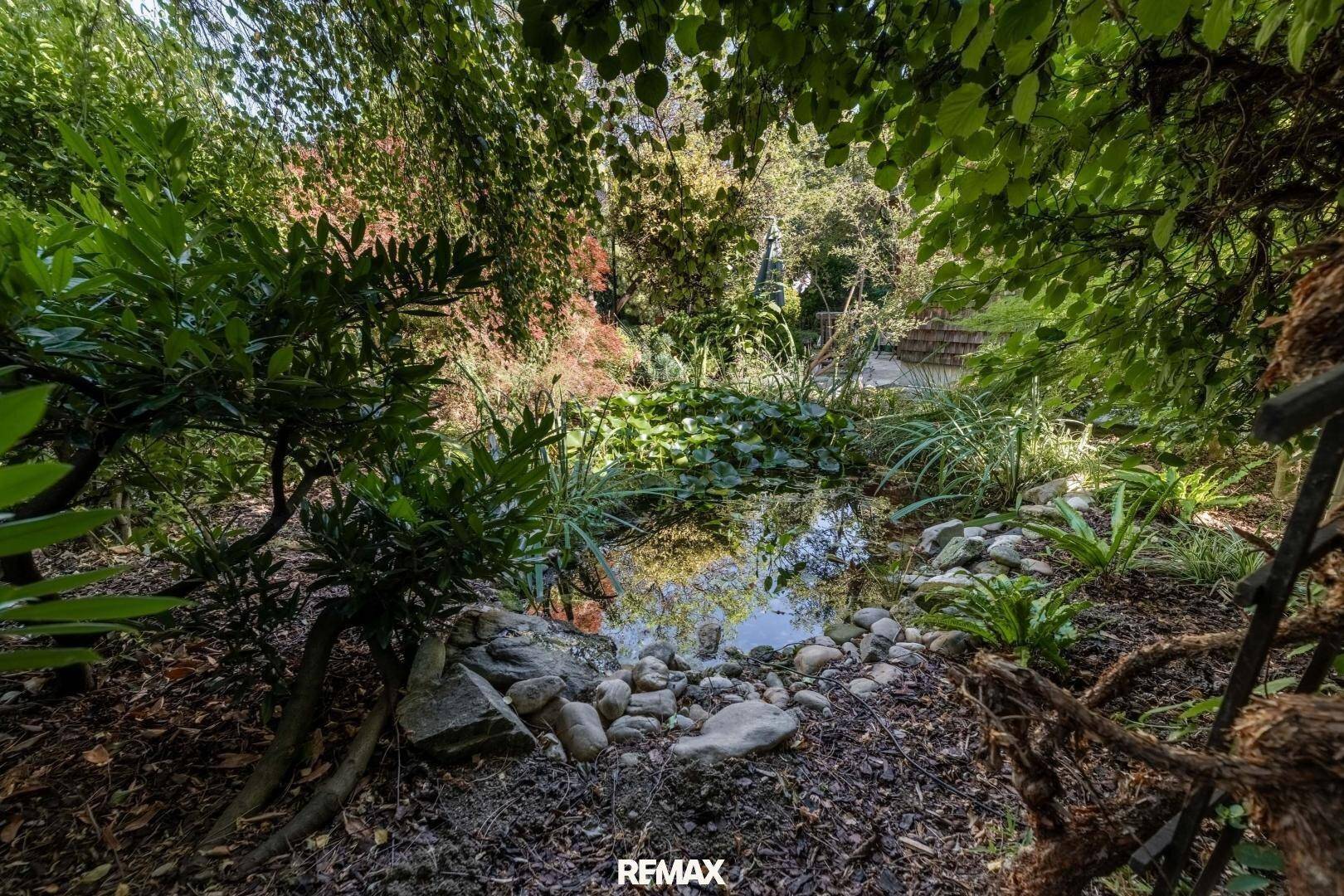 Natürlicher Gartenteich mit Seerosen und Steinen, umgeben von dichter Vegetation.