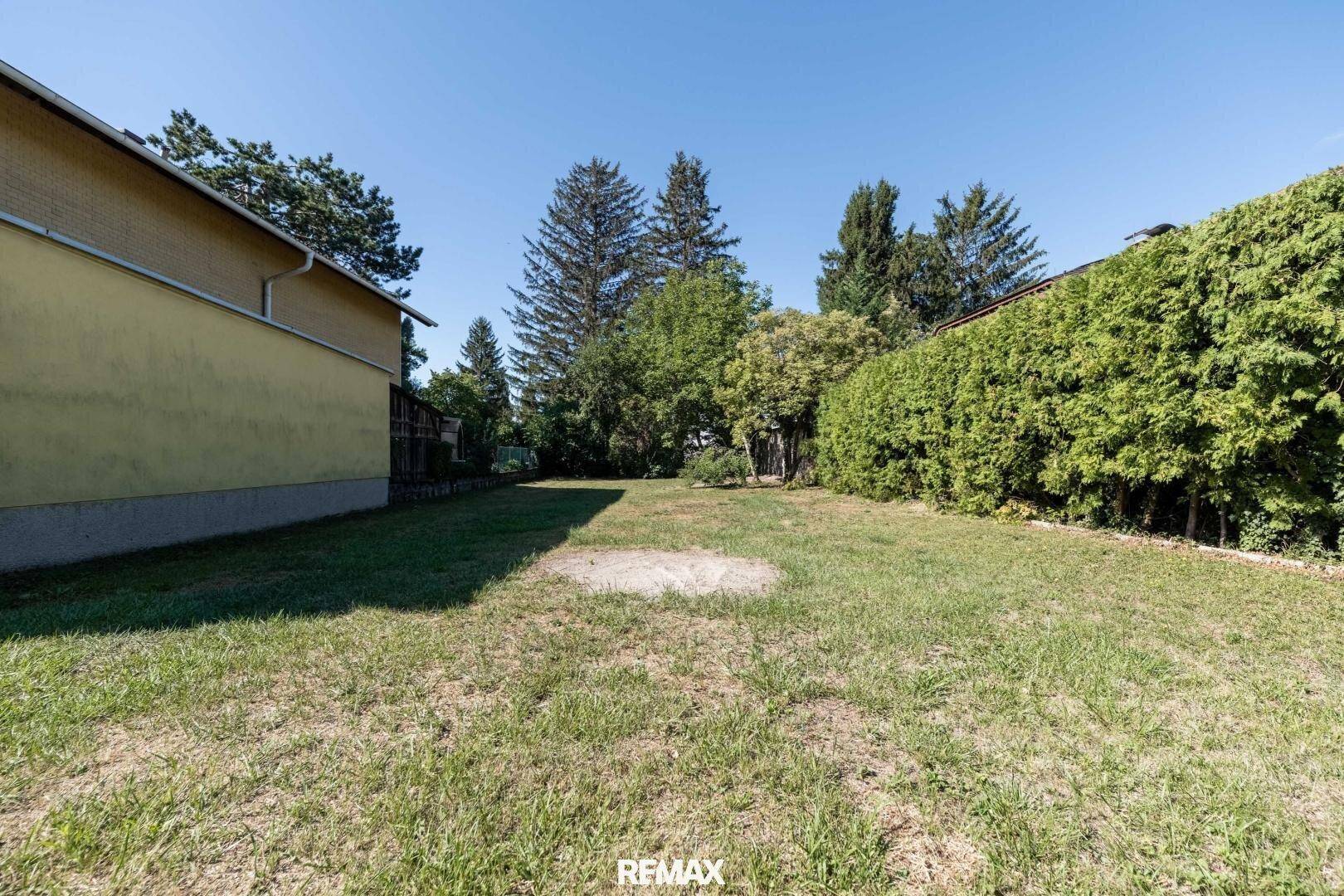 Großer, gepflegter Gartenbereich mit Rasenfläche, Hecke und hohen Bäumen im Hintergrund.