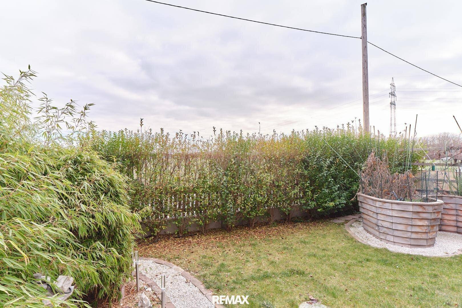 Garten mit Hecke und einem erhöhten Pflanzenbeet, umgeben von Grünflächen.