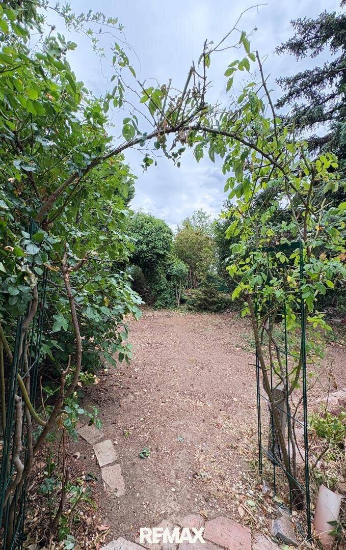 Naturbelassener Gartenbereich mit Rosenbogen und viel Grün, ideal zur Entspannung.