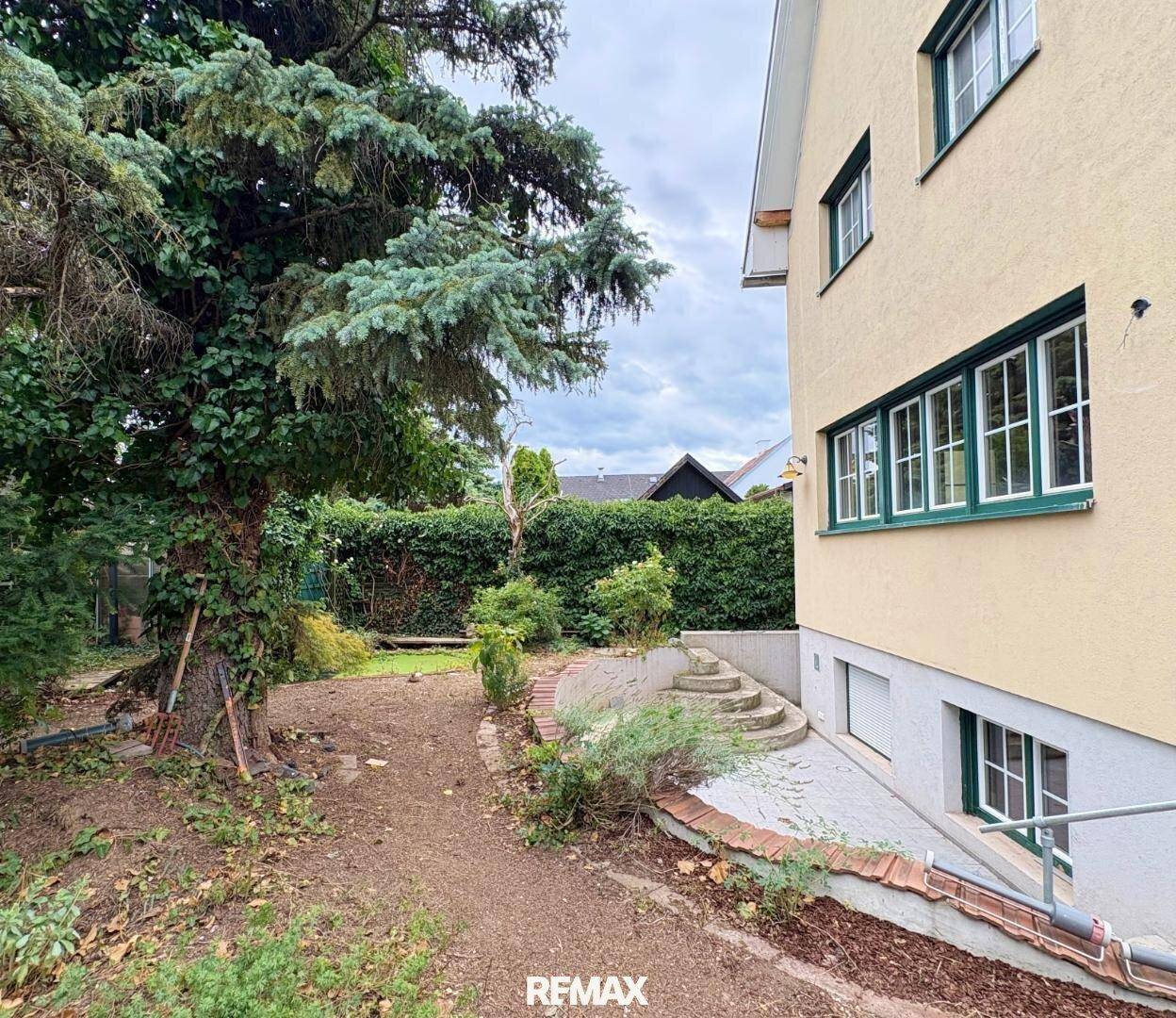 Gartenbereich mit altem Baumbestand und Treppe zum Haus, bereit zur Gestaltung.