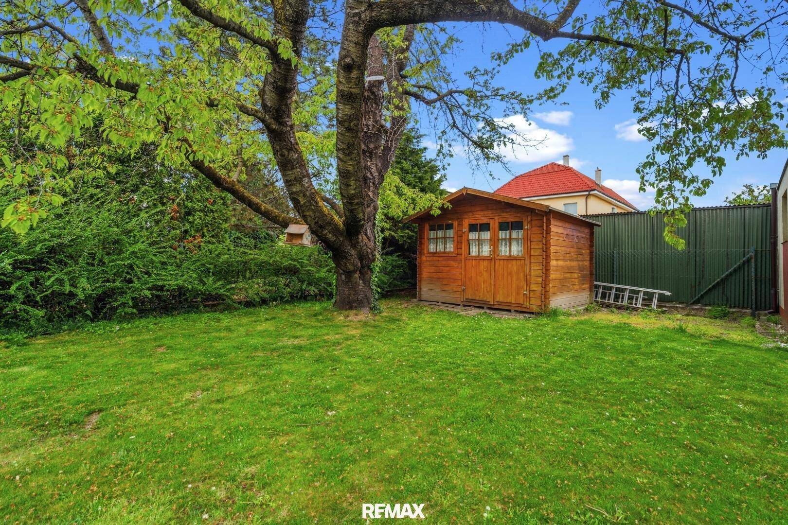 Gartenbereich mit einem großen Baum, einem kleinen Holzschuppen und viel Grünfläche.