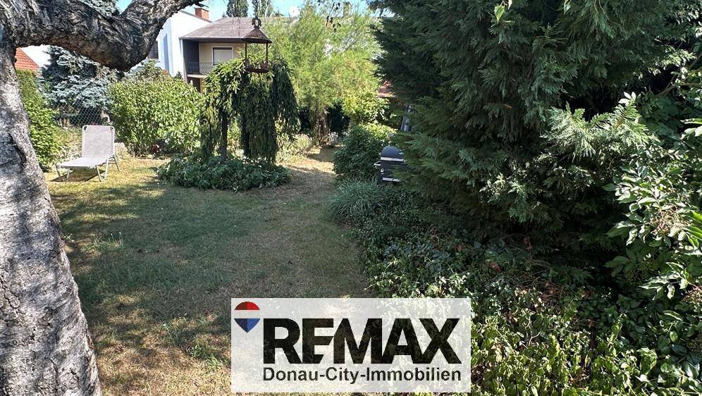 Grüner Garten mit Grillbereich und Sitzgelegenheiten für entspannte Stunden im Freien.