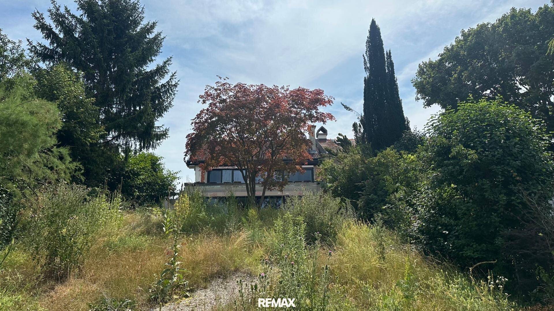 Ein Haus, umgeben von dichter Vegetation und Bäumen, unter einem bewölkten Himmel.