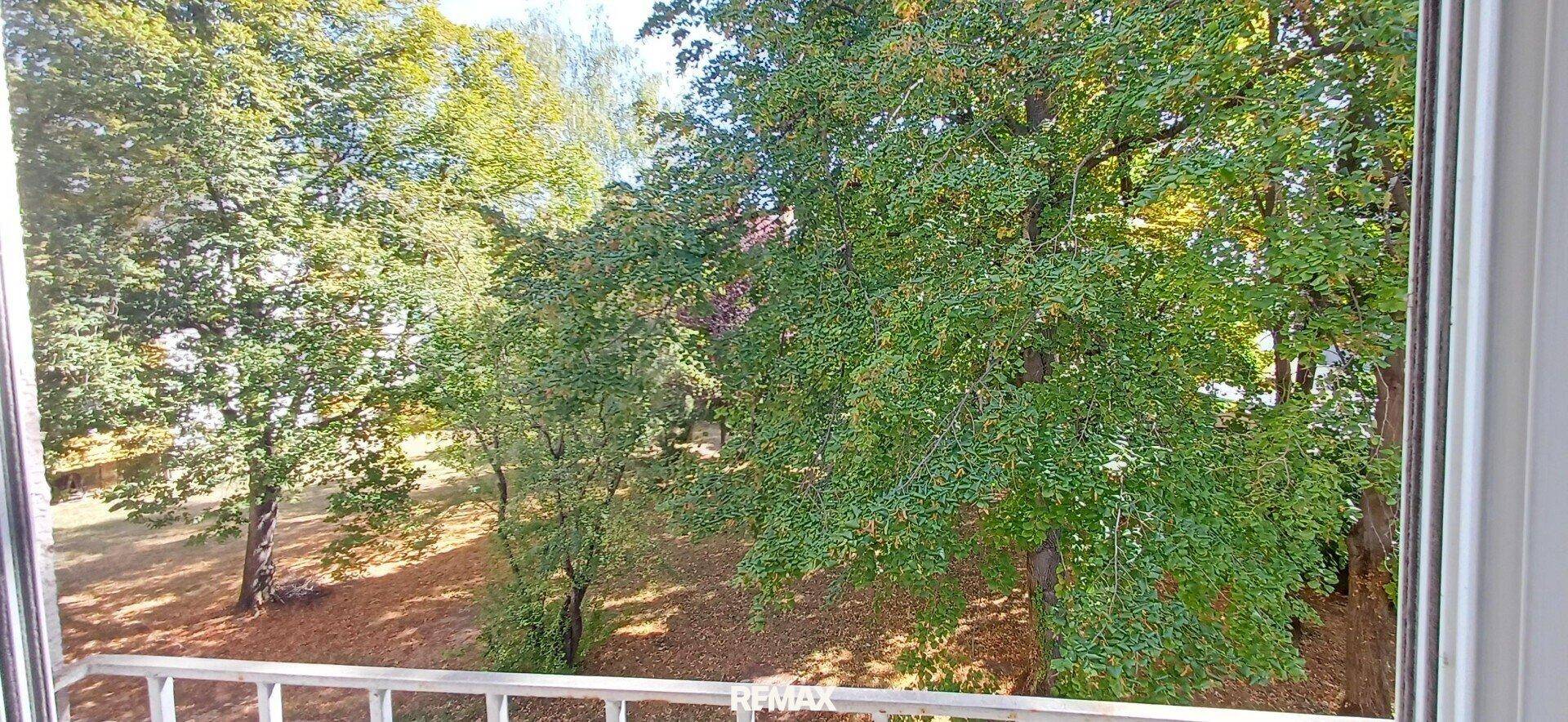 Grüner Ausblick aus einem Fenster mit Blick auf Bäume und Natur.