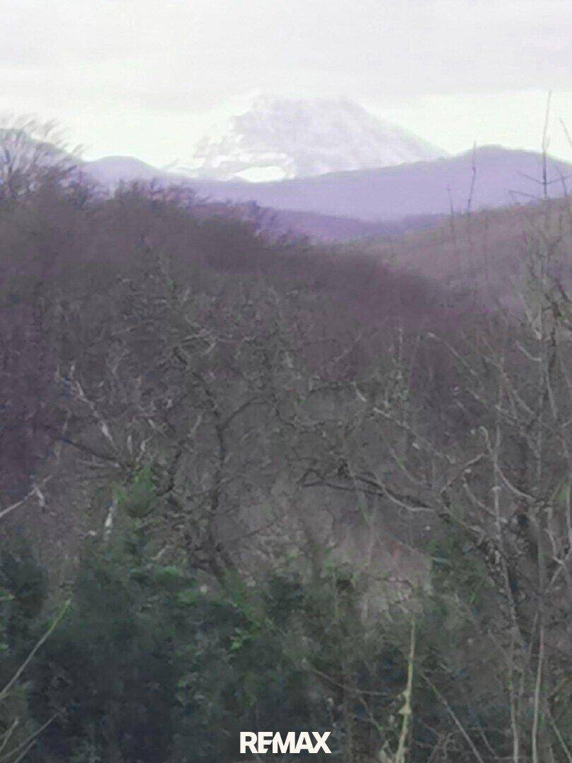 Unscharfer Blick auf ferne, schneebedeckte Berge hinter kahlen Bäumen.