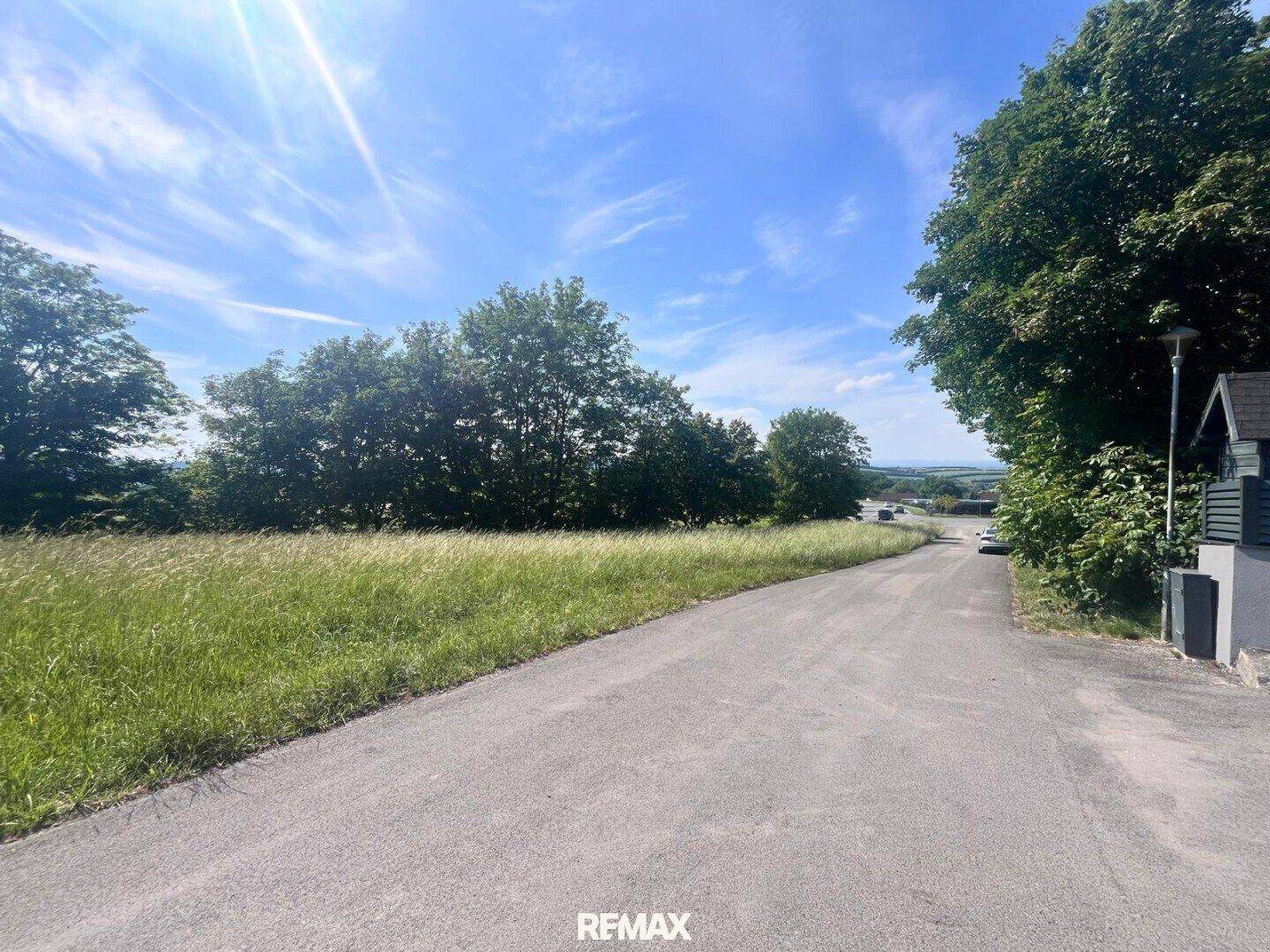 Landstraße führt durch grüne Landschaft mit Feldern und Bäumen unter blauem Himmel.