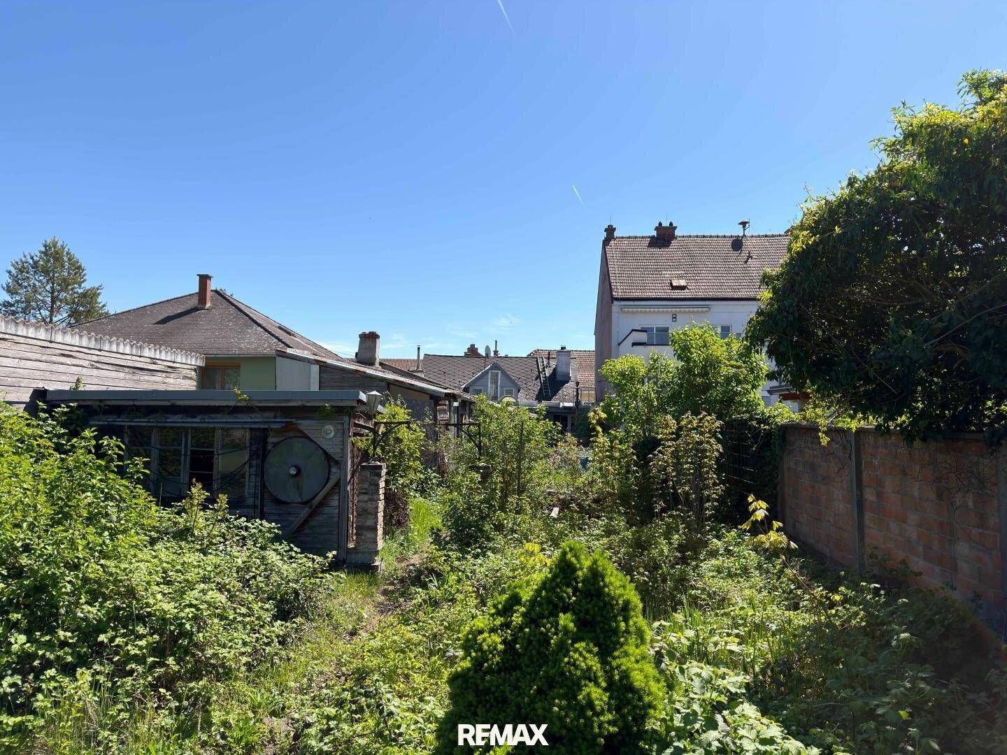 Verwilderter Gartenbereich mit viel Grün, alten Schuppen und Blick auf umliegende Häuser.