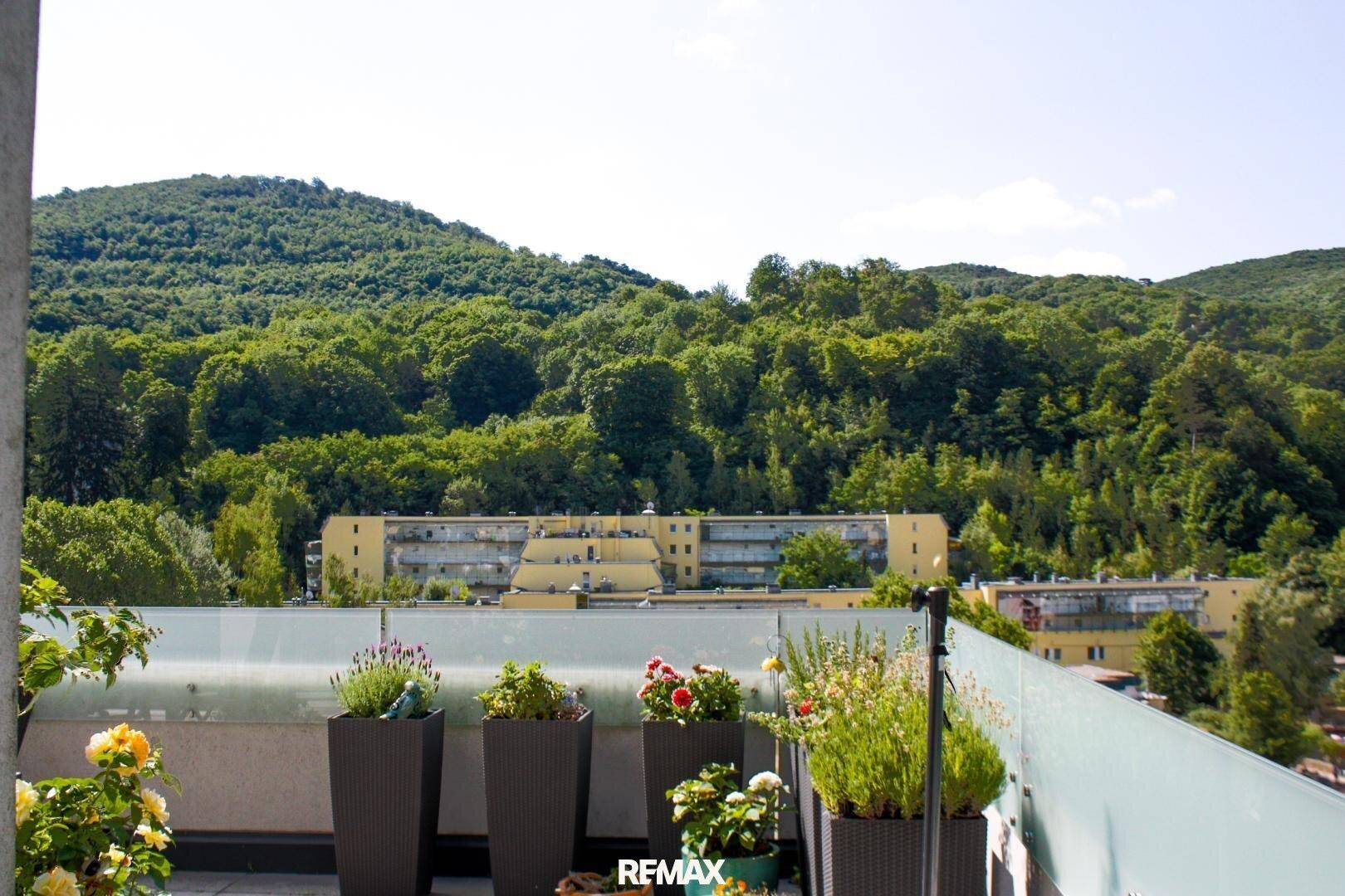 Sonniger Terrassenbereich mit Pflanzen und einem Ausblick auf bewaldete Hügel und umliegende Gebäude.