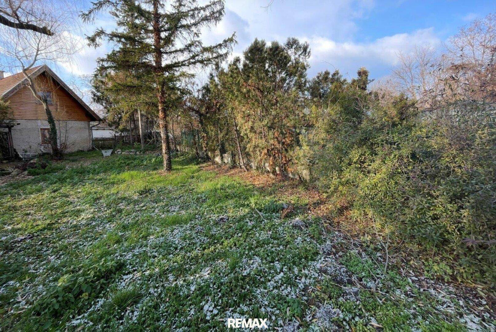 Großer Garten mit grüner Rasenfläche und Bäumen, im Hintergrund ist das Haus sichtbar.