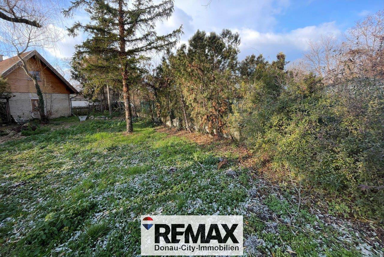 Gartenbereich mit Rasenfläche und Bäumen, im Hintergrund ist das Haus sichtbar.