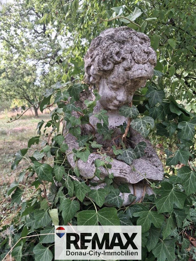 Steinerne Engelsstatue, teilweise mit Efeu bewachsen, in einem grünen Gartenbereich.