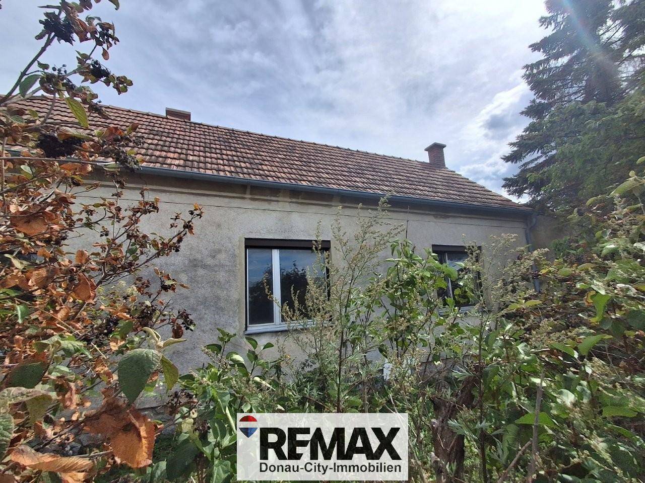Seitenansicht eines älteren Hauses mit Ziegeldach und zwei Fenstern, umgeben von üppiger Vegetation.