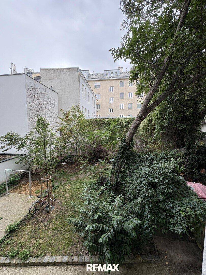 Grüner Hinterhofgarten mit Bäumen, Sträuchern und einem Fahrrad.
