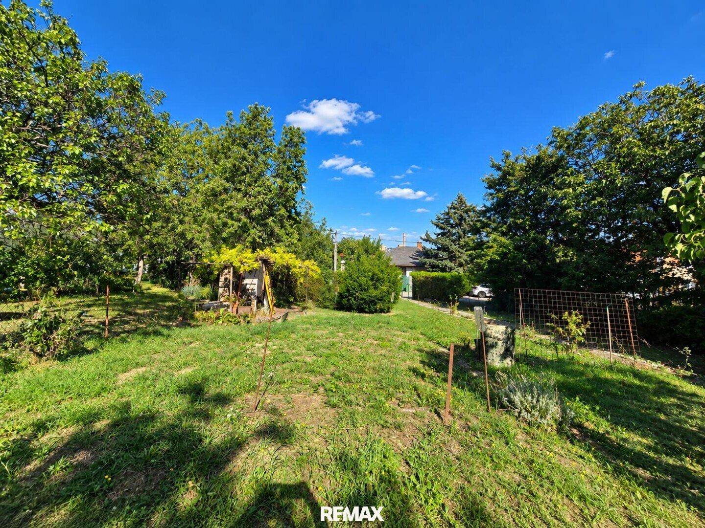 Sonniger Garten mit üppiger Vegetation und Blick auf die Umgebung.