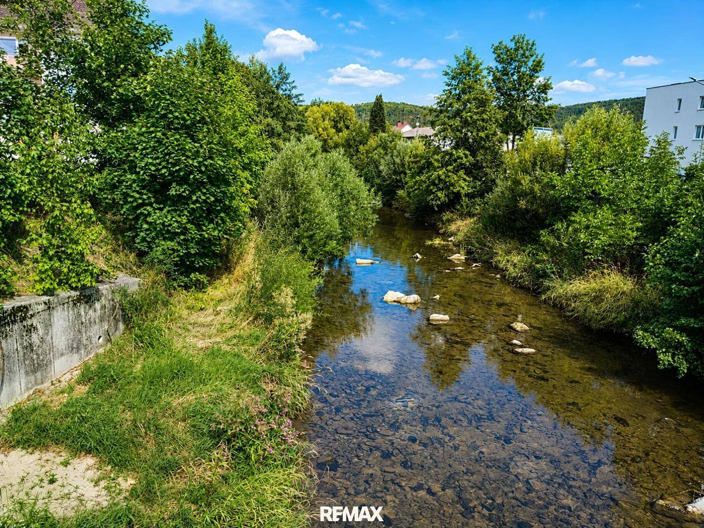 Natürlicher Flusslauf mit klarem Wasser, umgeben von üppiger Vegetation und Bäumen unter blauem Himmel.