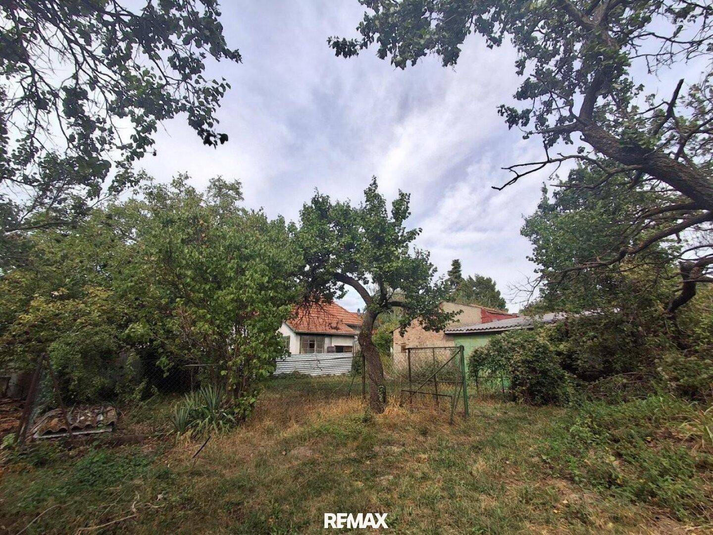 Großer, verwilderter Garten mit alten Bäumen und einem Haus im Hintergrund unter bewölktem Himmel.