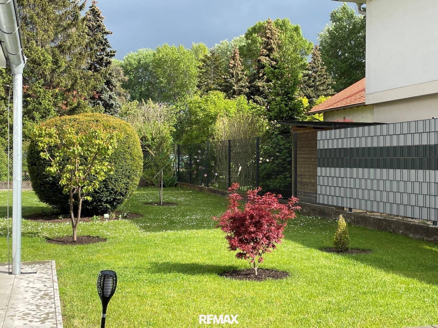 Gepflegter Garten mit Rasenfläche, verschiedenen Bäumen und Sträuchern, umgeben von einem Zaun.