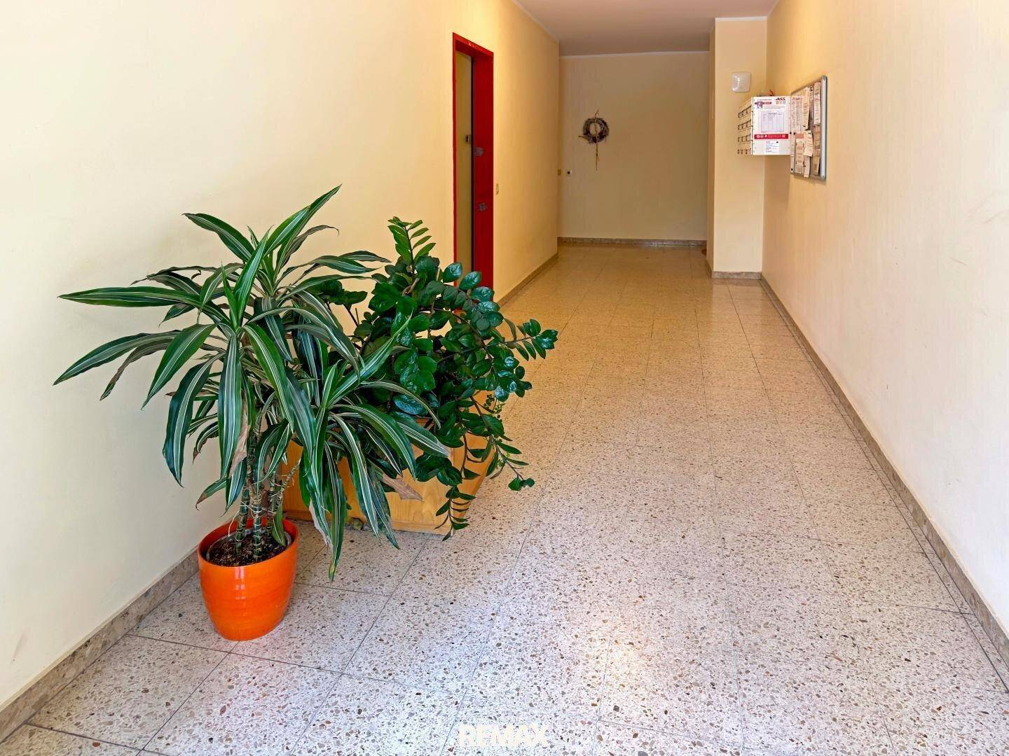 Heller Flur mit Terrazzoboden und dekorativen Topfpflanzen, einladender Eingangsbereich.