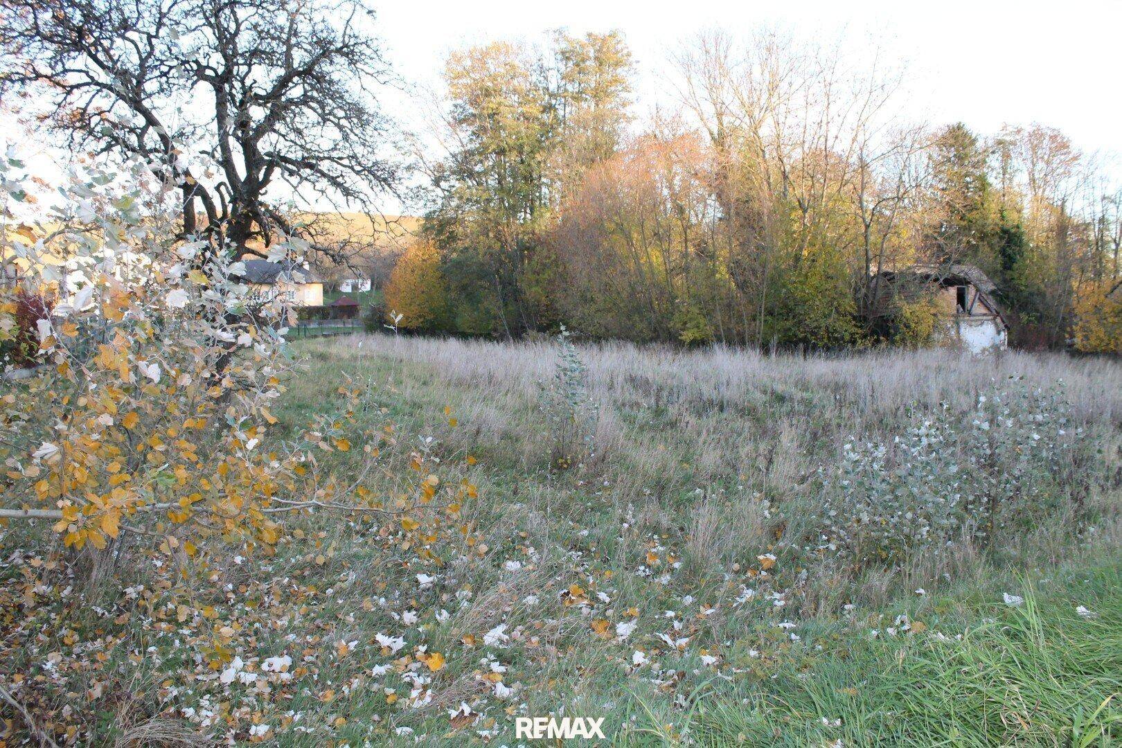 Großes Grundstück mit herbstlicher Vegetation, umgeben von Bäumen und Häusern in ländlicher Umgebung.
