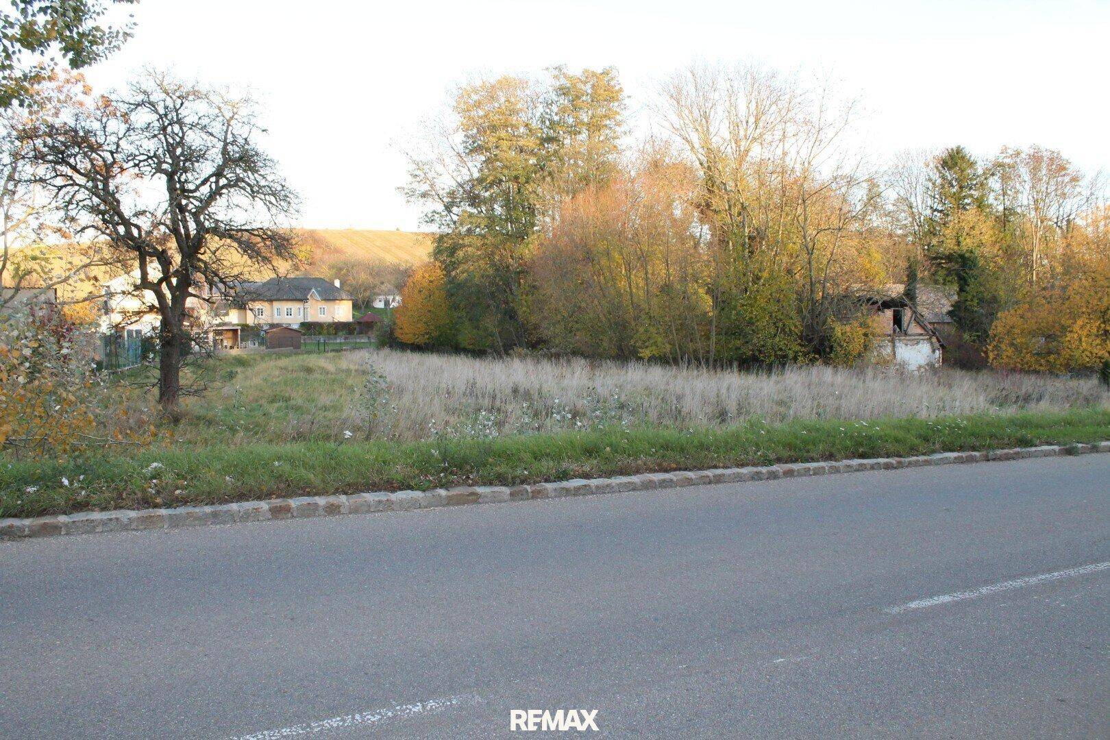 Grundstück mit Wiesenfläche und Bäumen, von der Straße aus fotografiert, mit ländlicher Kulisse.