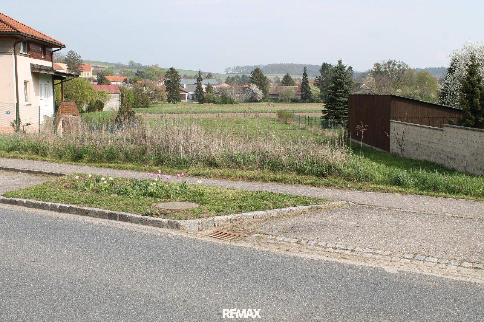 Unbebautes Grundstück von der Straße aus gesehen, mit Gehweg und blühenden Blumen am Rand.