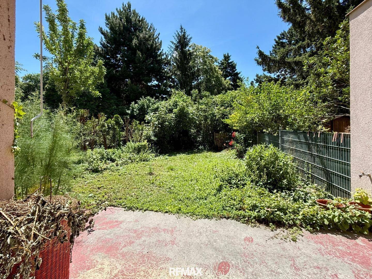 Naturbelassener Gartenbereich mit Rasenfläche, Bäumen und Sträuchern.