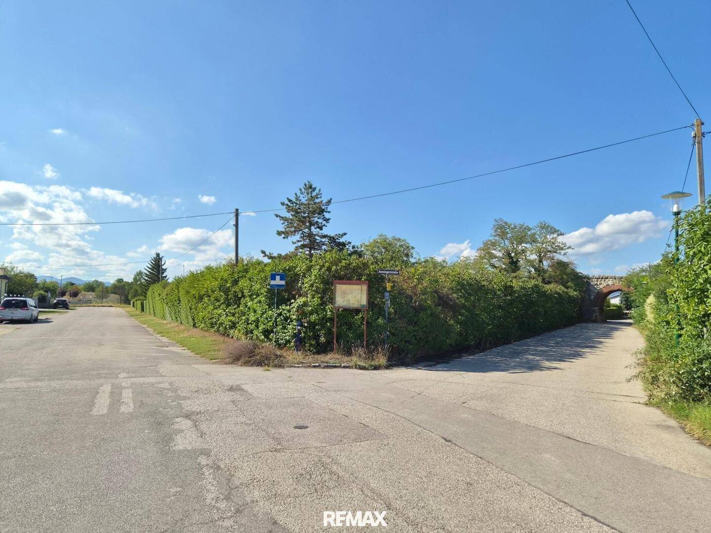Ländliche Straßenkreuzung mit hohen Hecken und Bäumen unter klarem blauem Himmel.