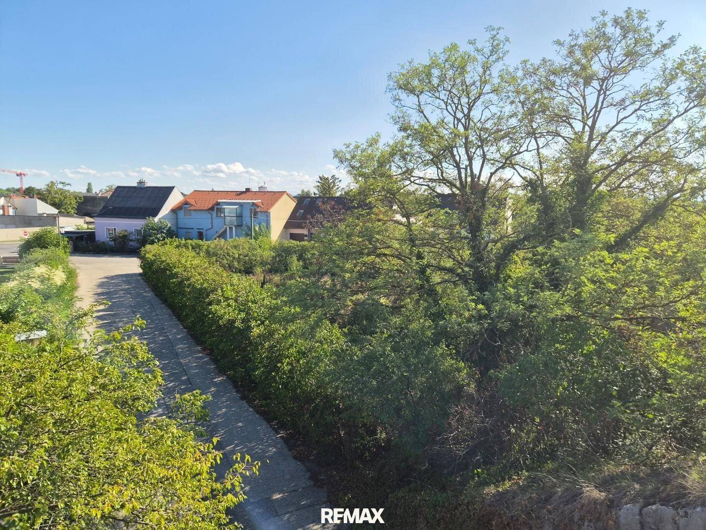 Blick über eine Hecke auf eine Straße und Wohnhäuser in der Nachbarschaft.