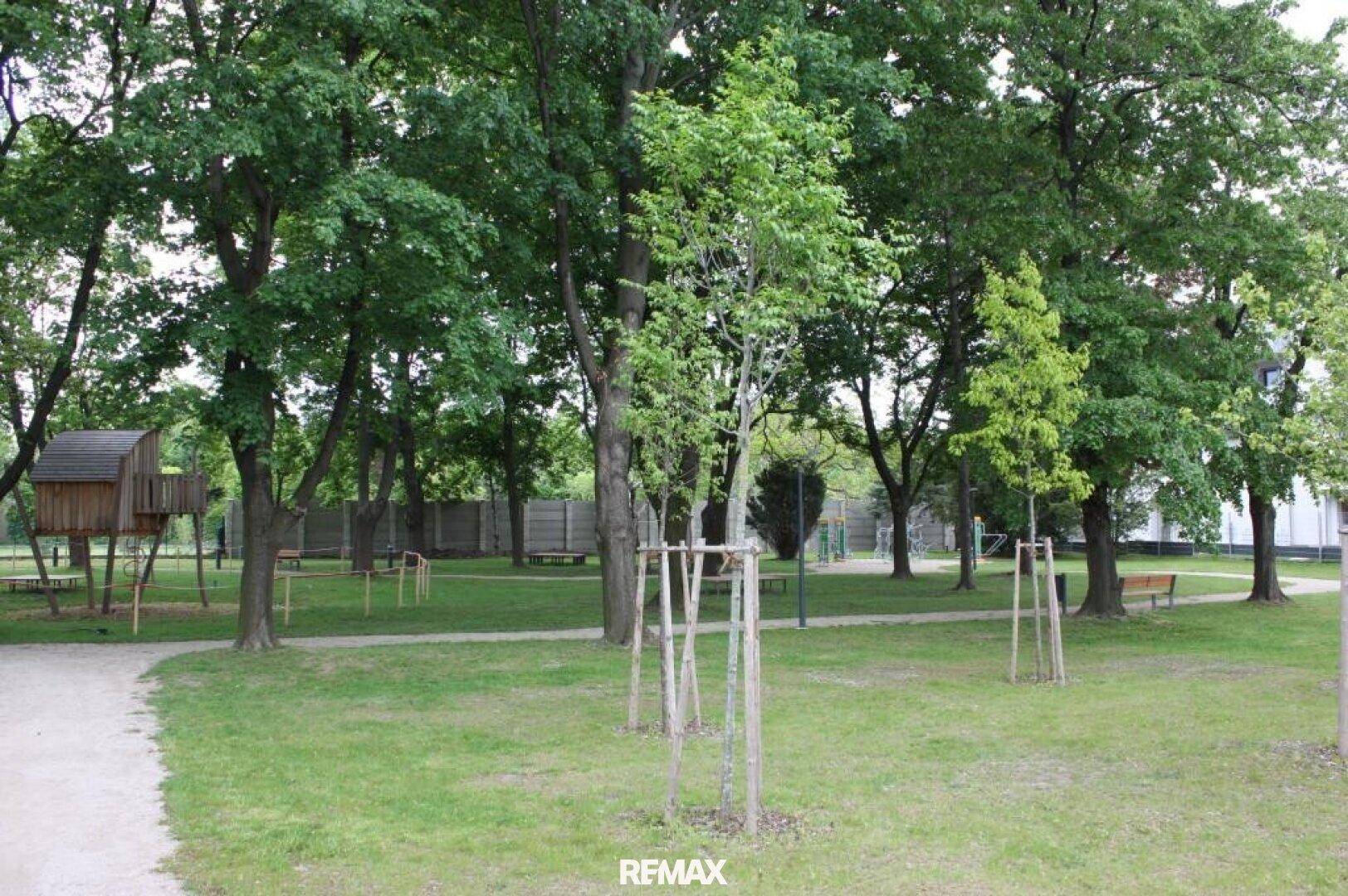 Grüne Parkanlage mit altem Baumbestand und einem Spielplatz in der Ferne.