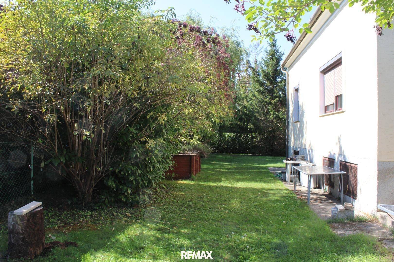 Großer, sonniger Gartenbereich mit Rasenfläche und üppiger Bepflanzung neben dem Haus.